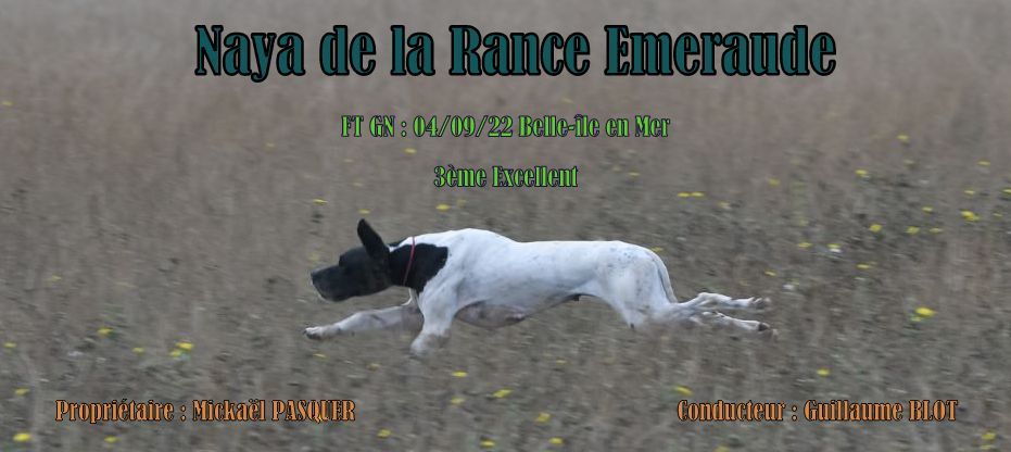 De La Rance Emeraude - Reprise des Fields et bientôt la chasse !