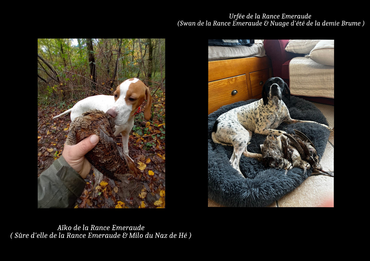 Les "A" de la Rance Emeraude