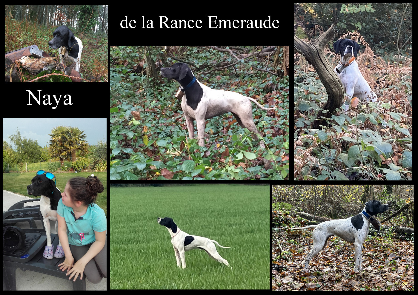 Nana s'en est allée !