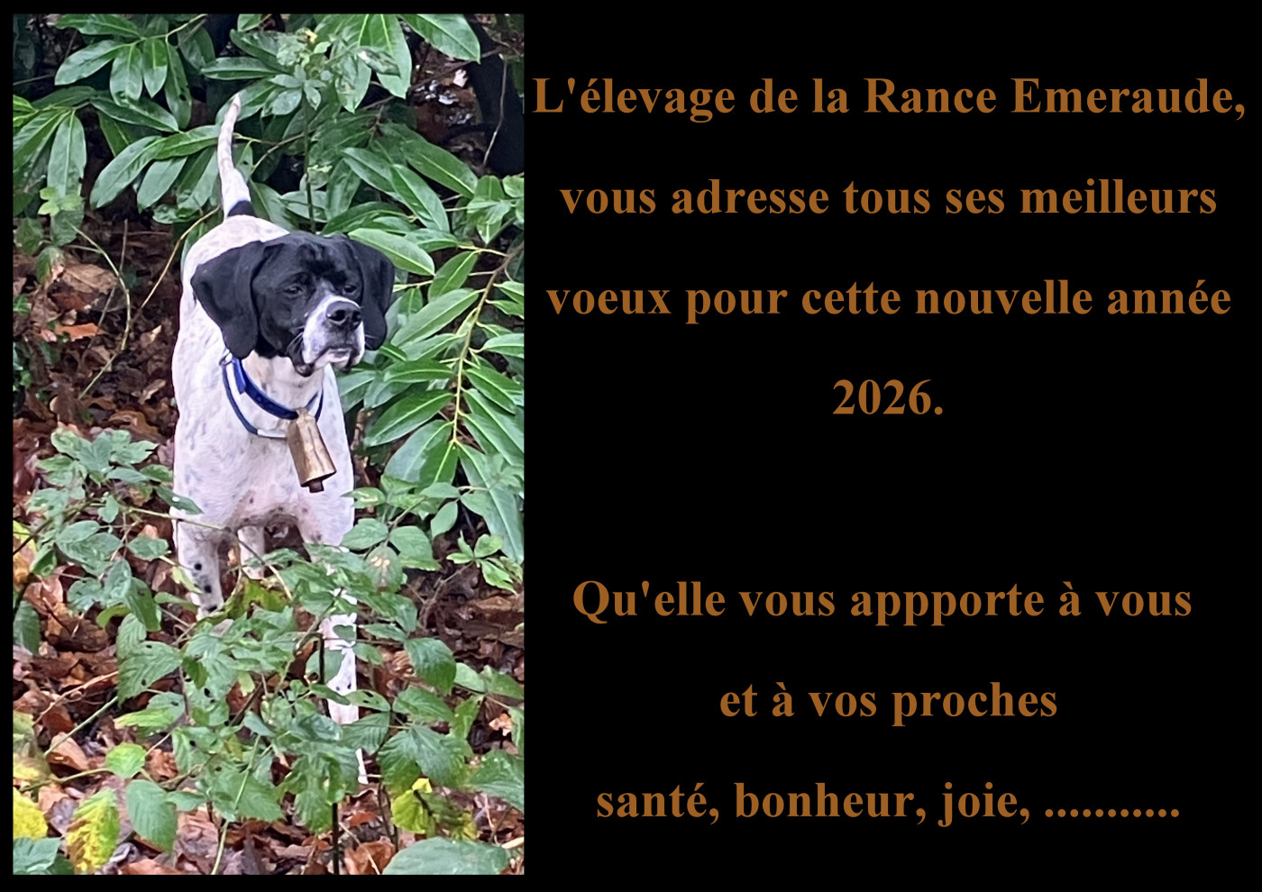 Bonne année 2026