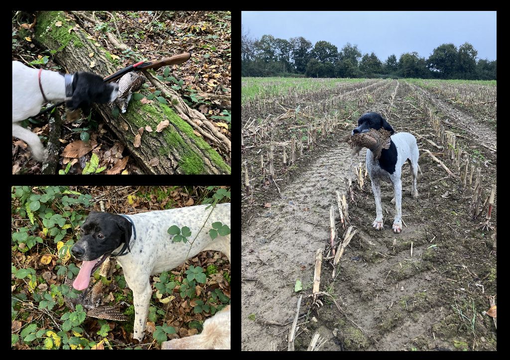 La saison de chasse est pleinement lancée