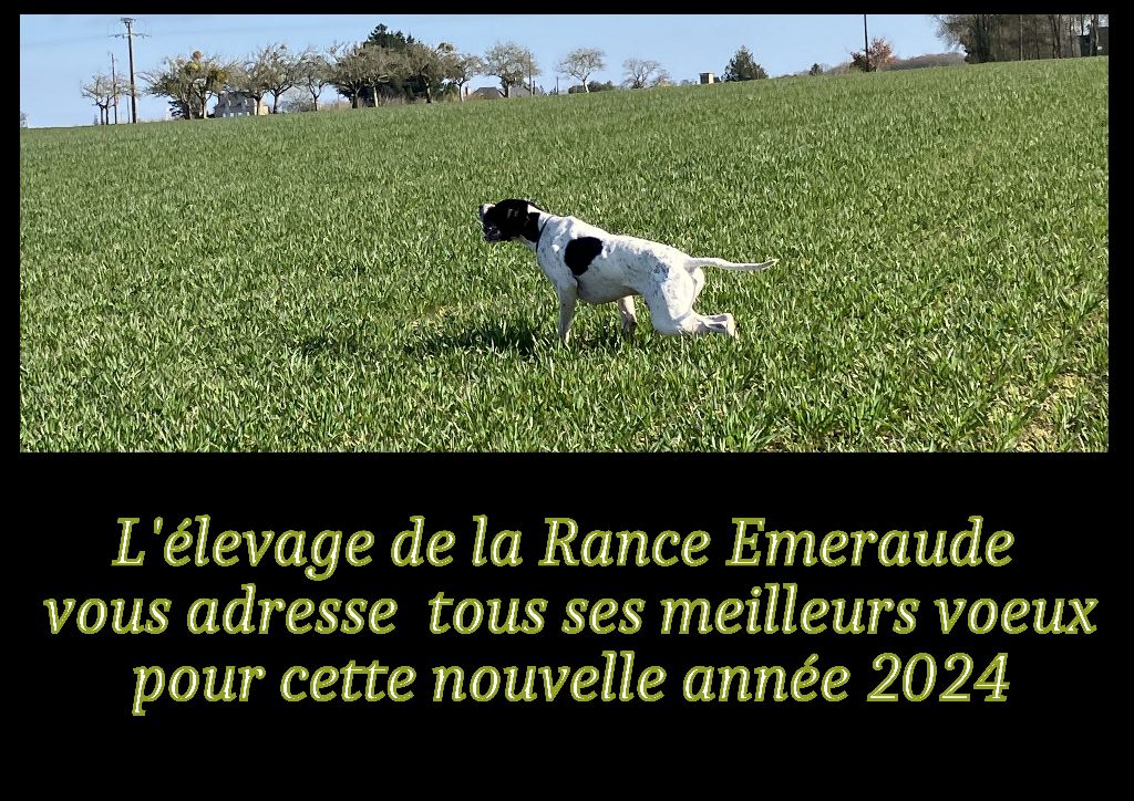 De La Rance Emeraude - Très belle année 2024 à toutes et à tous