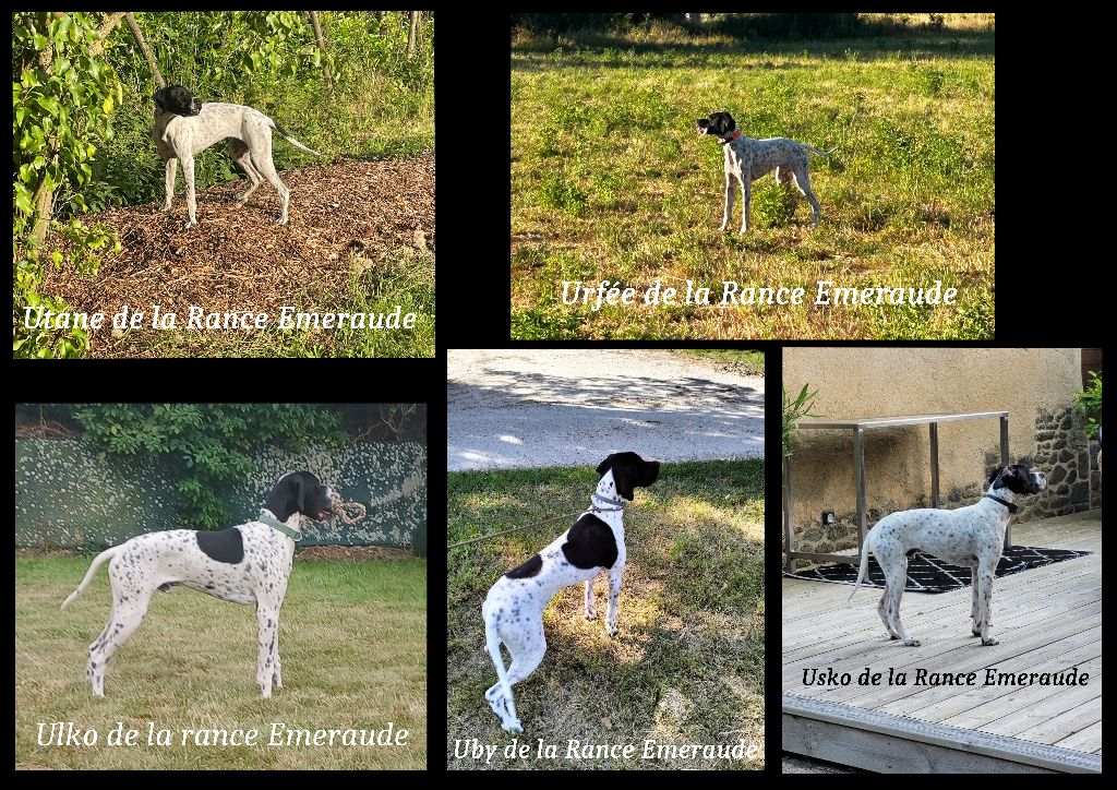 De La Rance Emeraude - Sept mois pour les "U" de la Rance Emeraude