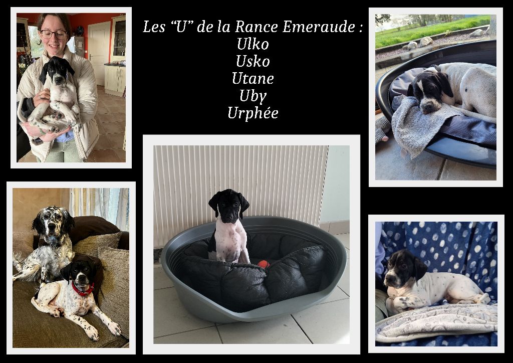 De La Rance Emeraude - Kenavo