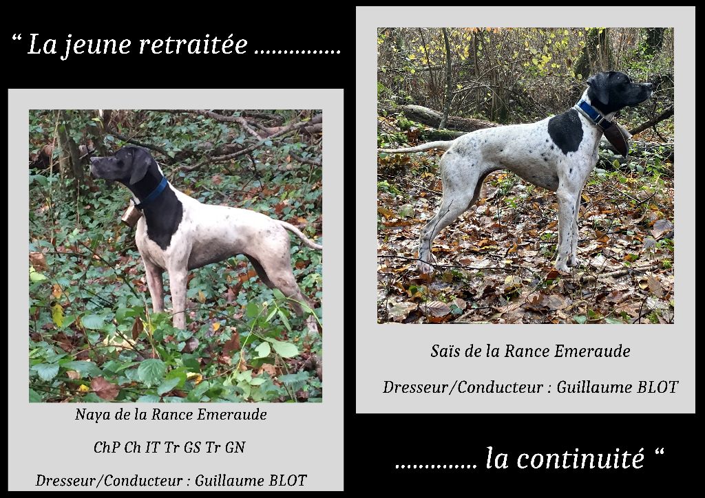 De La Rance Emeraude - La relève !