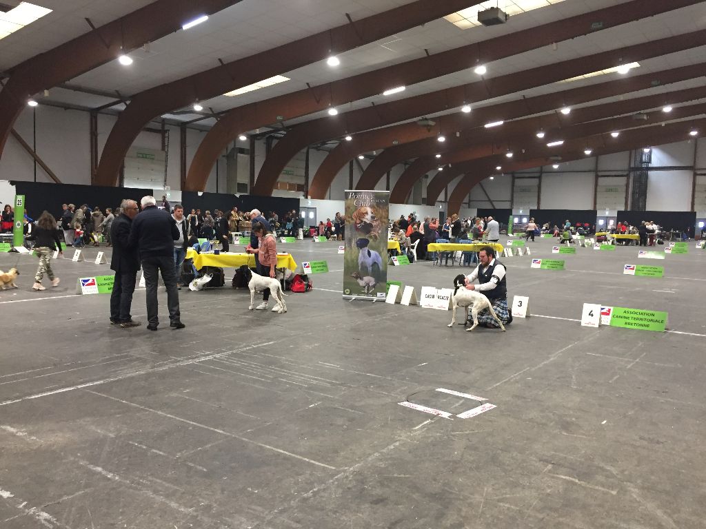 Exposition Rennes 2019