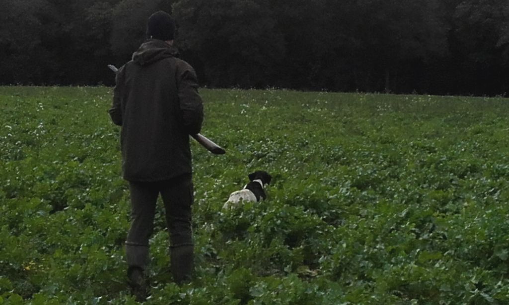 Chasse 2018